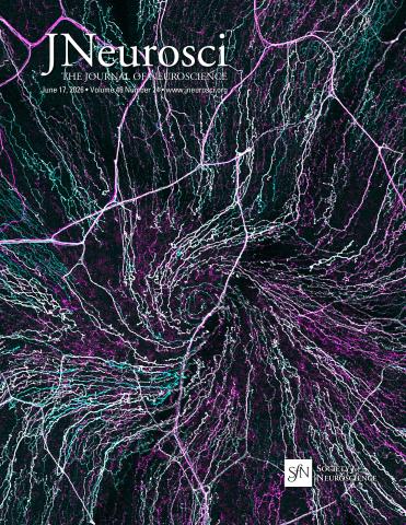 jneurosci.png